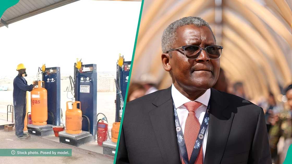 Dangote's Price Cut Sparks National LPG Market Adjustment