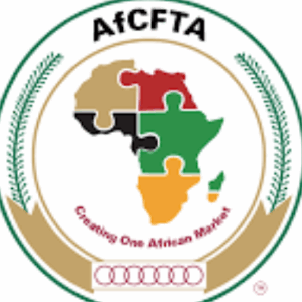 African Customs Summit Aims to Boost Nigeria's MSMEs and Trade Growth