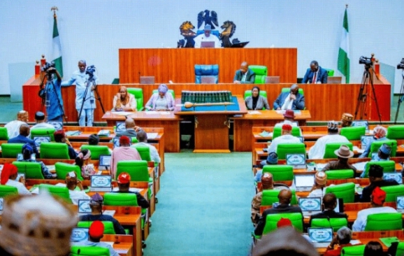 Nigerian Reps Launch Inquiry into NFF's FIFA, CAF Grant Spending