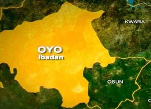 Elephant Attacks Oyo Community: One Dead, Another Missing
