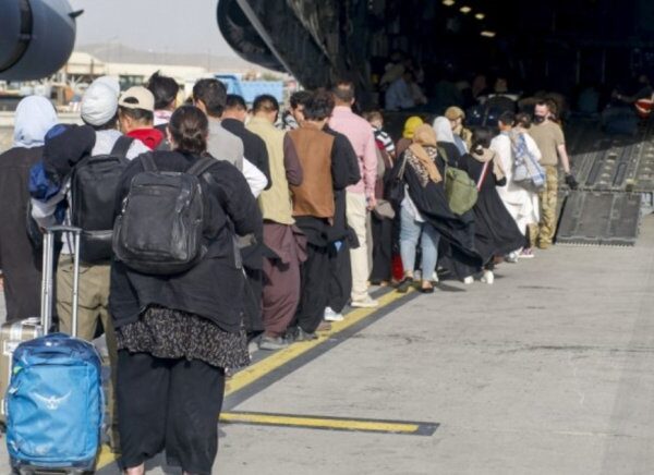 FG Evacuates 1,230 Stranded Nigerians from Niger Republic in Humanitarian Operation