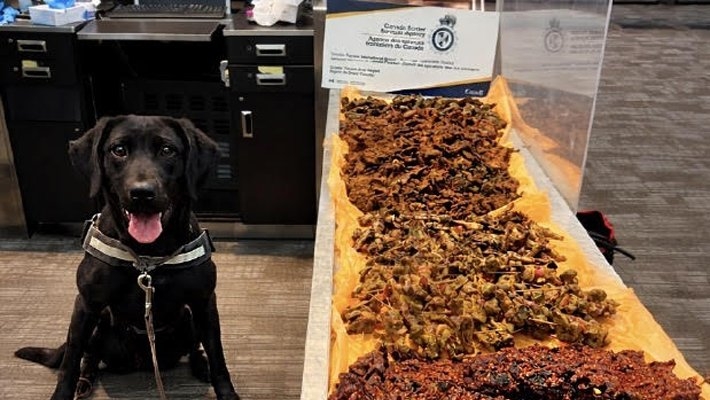 Nigerian Fined at Canadian Airport for Smuggling 40kg of Chicken and Kilishi