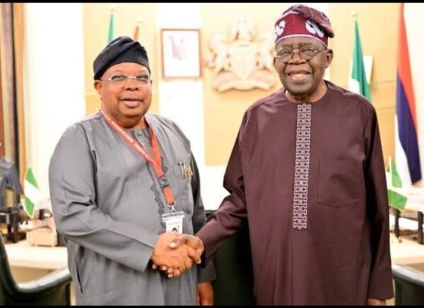 Tinubu Nominates New Minister of Power