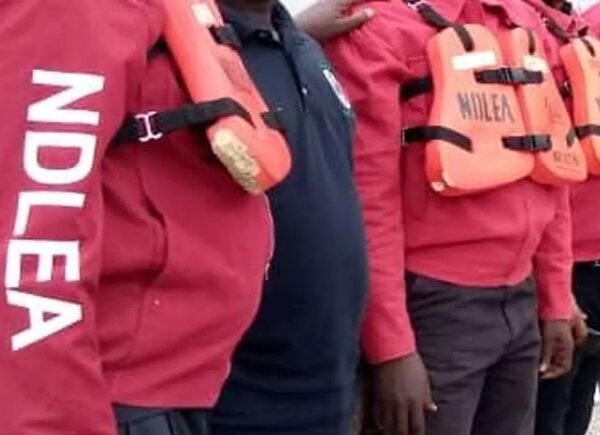 NDLEA Raids Kano Secretariat, Arrests Suspected Drug Dealer