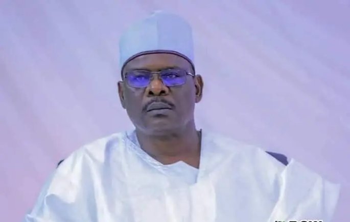 Nigerian Senator Ndume Aims for Fifth Term in NASS in 2027