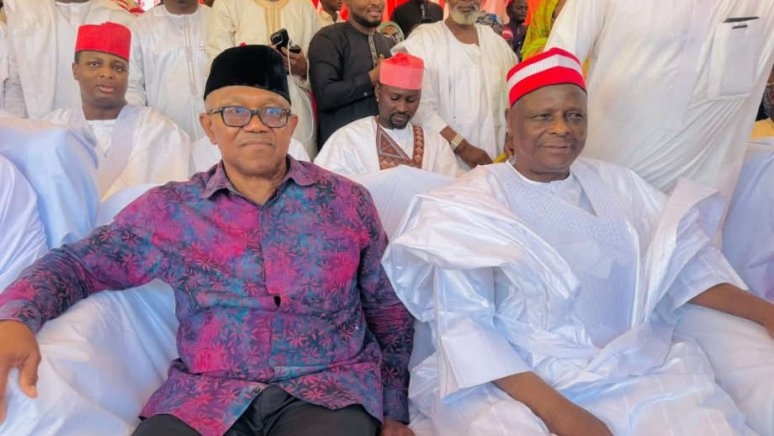 NDC Urges Obi and Kwankwaso to Join Their Party
