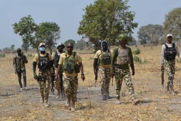 Military Intercepts 150 Cattle During Patrol in Plateau State