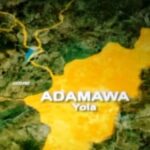 Two Suspected Killers Stab Man to Death in Adamawa State