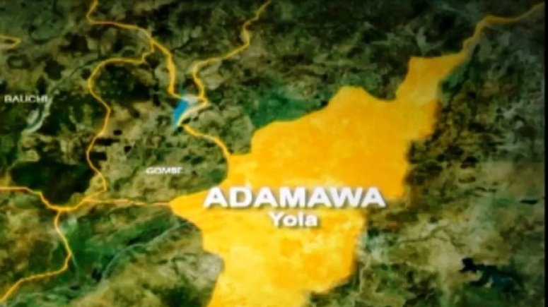 Two Suspected Killers Stab Man to Death in Adamawa State