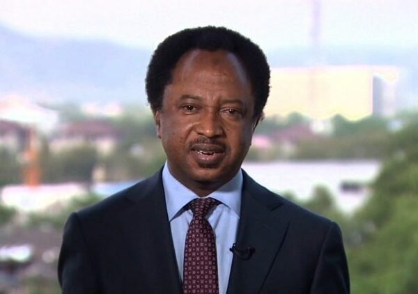 Shehu Sani Reveals INEC Chairmanship as Most Challenging Role in Nigeria