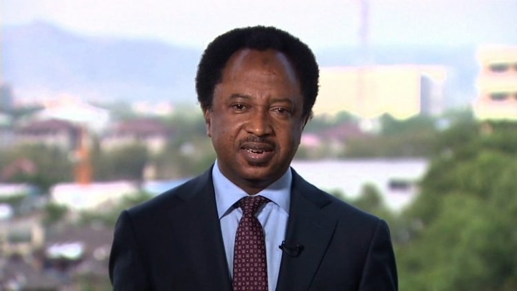 Shehu Sani Reveals INEC Chairmanship as Most Challenging Role in Nigeria