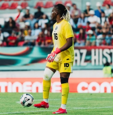 Arsenal Boss Praises Super Falcons GK Nnadozie After Brighton Set Club Record