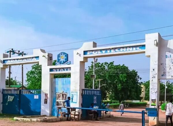 Robbers Invade Adamawa Poly Female Hostel, Steal Phones in Brazen Raid