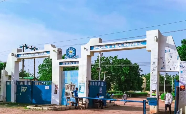 Robbers Invade Adamawa Poly Female Hostel, Steal Phones in Brazen Raid
