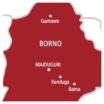 Six Terrorists Killed in Self-Inflicted Bomb Blast in Borno State