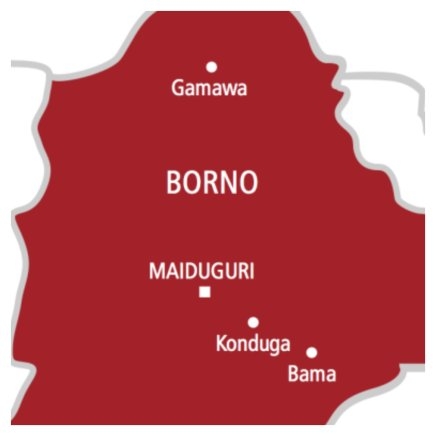 Six Terrorists Killed in Self-Inflicted Bomb Blast in Borno State