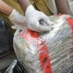 Customs Seizes N18.96bn Worth of Cannabis Hidden in Imported Vehicles at Lagos Port