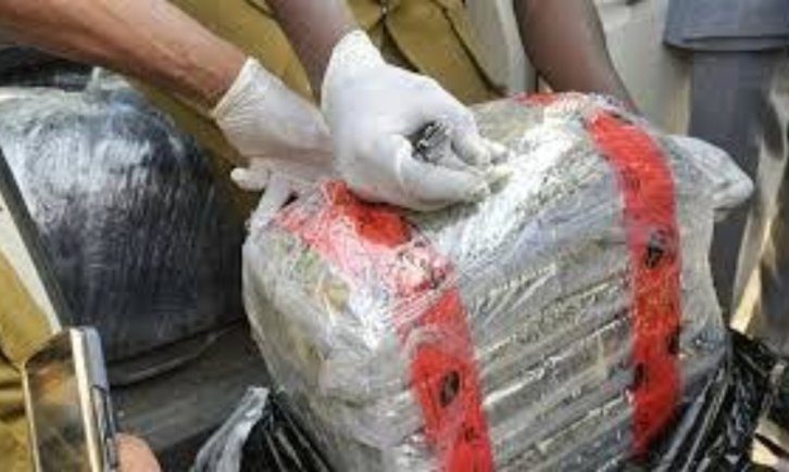Customs Seizes N18.96bn Worth of Cannabis Hidden in Imported Vehicles at Lagos Port