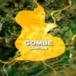 Female Police Officer and Pedestrian Killed in Gombe Truck Crash