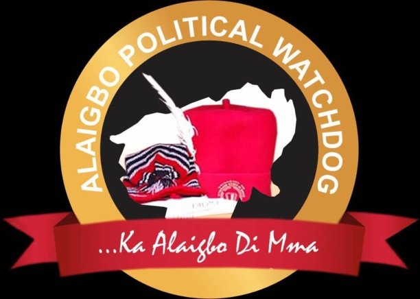 2027 Elections: Igbo Group Pledges to Back Only Credible Candidates