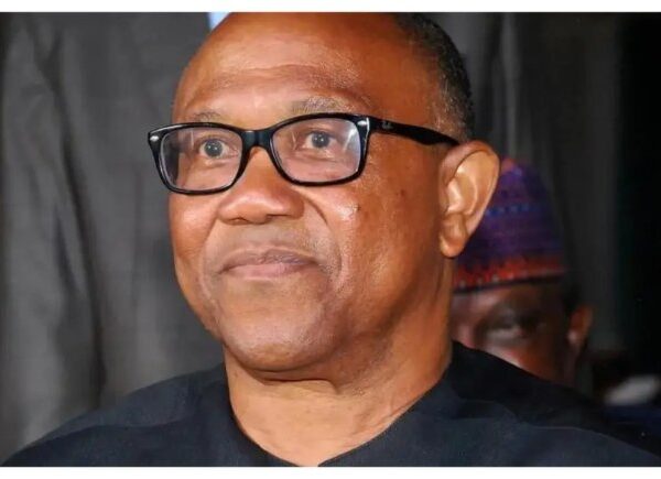 2027: Ebonyi Senator Claims Peter Obi Coming at Wrong Time, Can’t Win