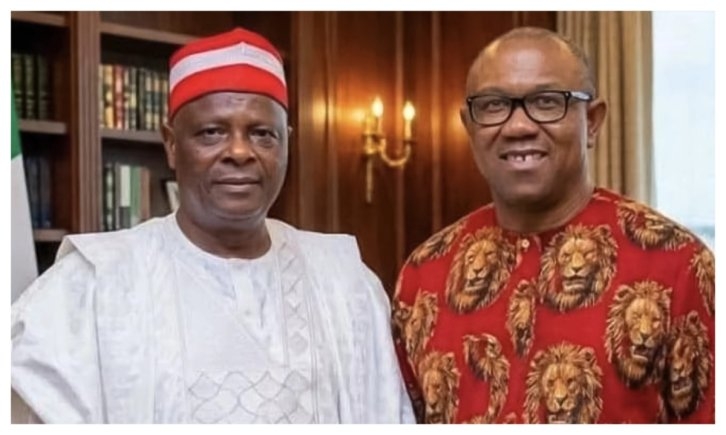 Fani Kayode Predicts Peter Obi Will Dribble Kwankwaso, Drop Him Like Hot Potato in NDC Single Term Ticket Bid