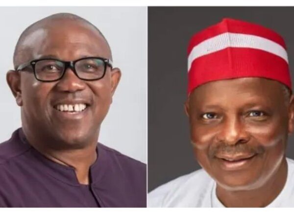 NDC’s Umar Ardo Slams Peter Obi and Kwankwaso: “I Warned You the Situation Is Bad”