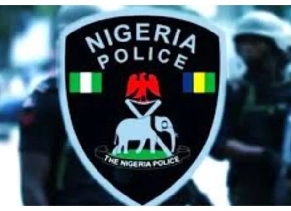 Gombe Police Seize Live Ammunition Hidden in Sack During Raids