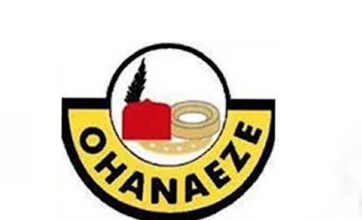 Ohanaeze Ndigbo Inaugurates Global Committee to Investigate Alleged Human Rights Abuses Against Igbos