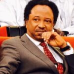 Shehu Sani Accuses ADC Leaders of Plotting Power Ritual with Obi and Kwankwaso