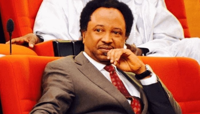 Shehu Sani Accuses ADC Leaders of Plotting Power Ritual with Obi and Kwankwaso