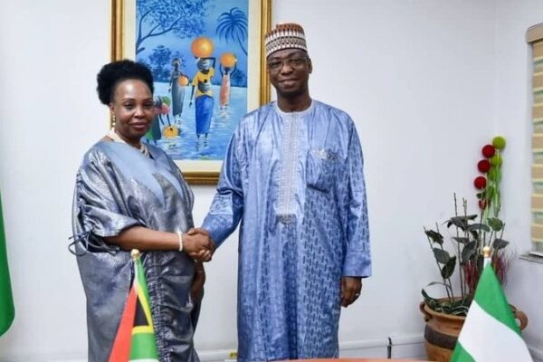 Nigeria Condemns Threats Against Citizens in South Africa, Urges Protection and Accountability