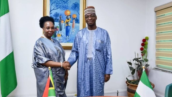Nigeria Condemns Threats Against Citizens in South Africa, Urges Protection and Accountability