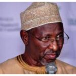 2027: Usman Bugaje Warns INEC Against Overstepping Constitutional Powers