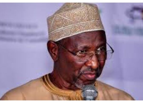 2027: Usman Bugaje Warns INEC Against Overstepping Constitutional Powers
