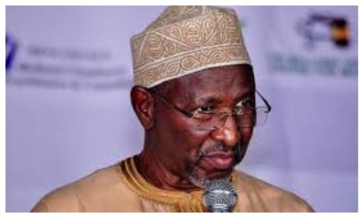 2027: Usman Bugaje Warns INEC Against Overstepping Constitutional Powers