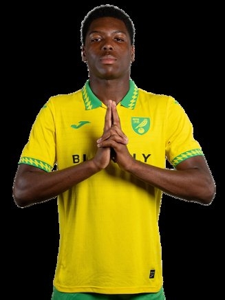 Confirmed: Two Nigerian Defenders to Exit Norwich City Ahead of Next Season