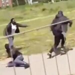 Nigerian Praised for Bravely Stopping Knife Fight in UK
