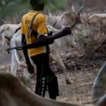 Suspected Herdsmen Ambush Farmers in Benue, Many Feared Dead