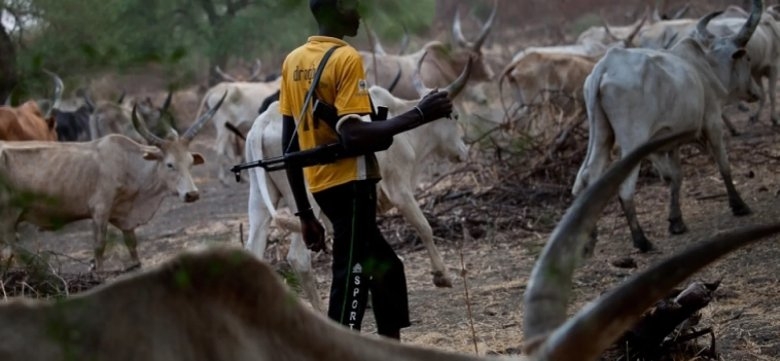 Suspected Herdsmen Ambush Farmers in Benue, Many Feared Dead
