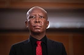 Malema Urges South Africans: Nigerians, Ghanaians Are Not Enemies