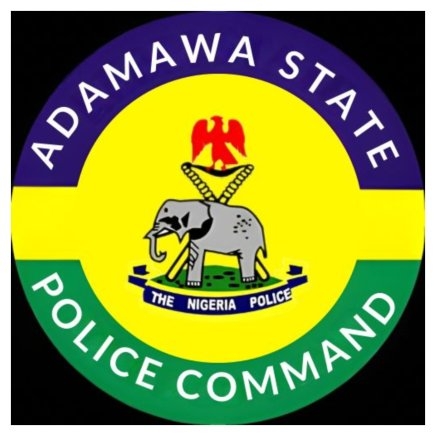 Police Rescue Kidnapped Man in Adamawa State