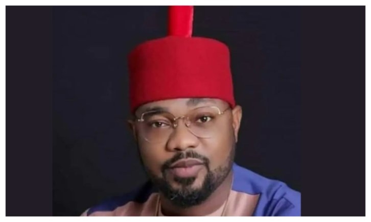 Ugochinyere Loses Minority Leader Bid in Nigerian House of Representatives