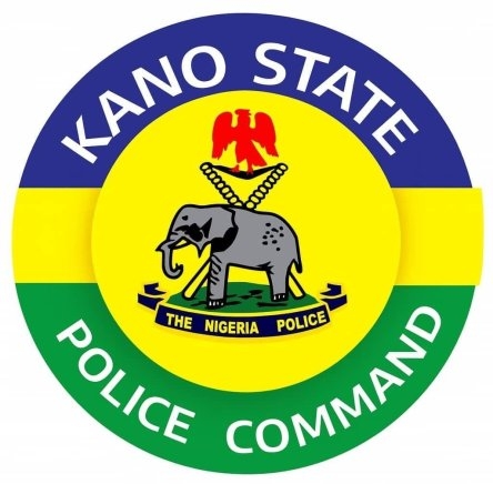 Kano Cracks Down on Crime: 345 Arrested in Massive Police Operation