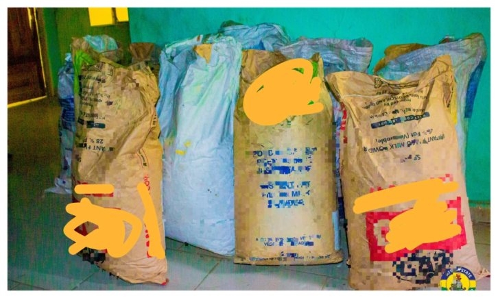 Katsina Police Arrest Man for Alleged Sale of Adulterated, Unsafe Milk