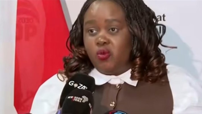 June 30 Not Shutdown Day in South Africa, Says Justice Minister: Citizens Advised to Go About Daily Business