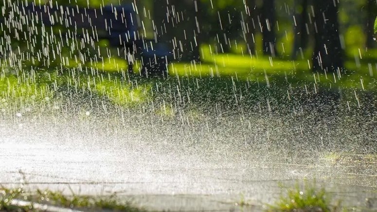 Heavy Rainfall Causes Road Damage in Dandi, Kebbi State
