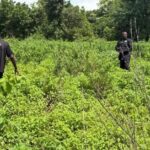 Police Rescue Kidnapped Mother and 2-Year-Old Son in Kwara State