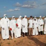 Five Yobe Residents Hospitalized After Rabid Dog Attack