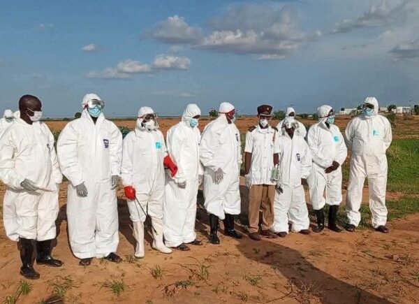 Five Yobe Residents Hospitalized After Rabid Dog Attack